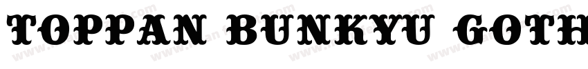 Toppan Bunkyu Gothi字体转换